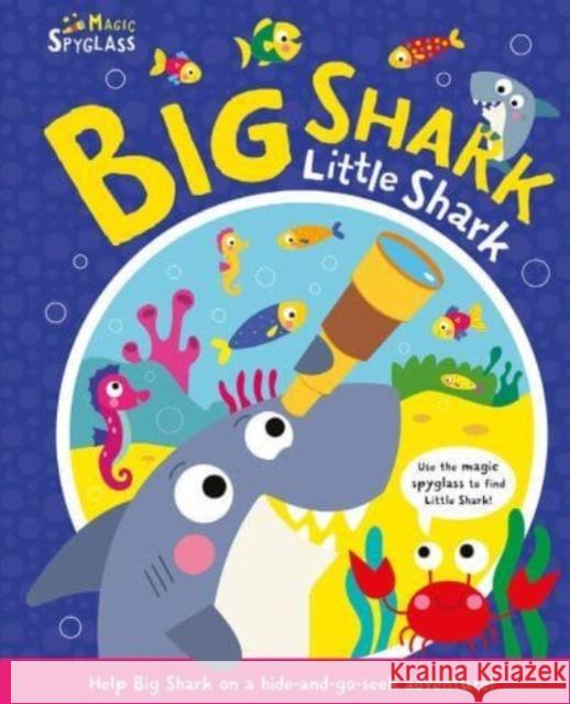 Big Shark Little Shark Katie Button 9781801056168