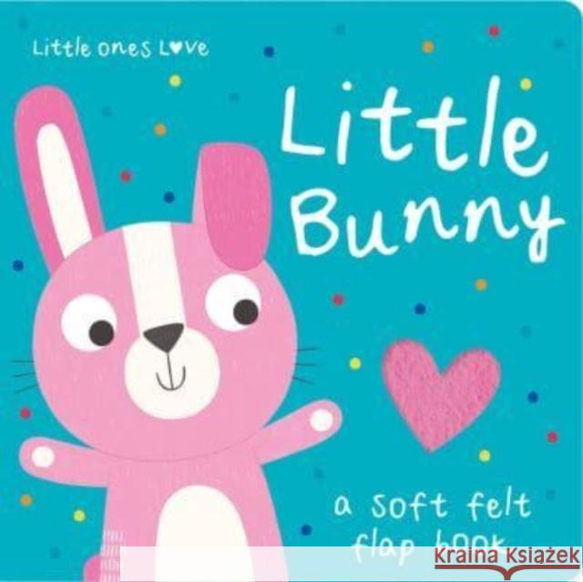 Little Ones Love Little Bunny Holly Hall 9781801057646 Imagine That Publishing Ltd