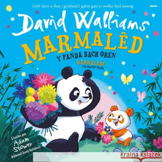 Marmaled - Y Panda Bach Oren / Marmalade - The Orange Panda David Walliams 9781801062701 Atebol Cyfyngedig