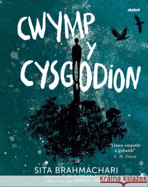 Darllen yn Well: Cwymp y Cysgodion Sita Brahmachari 9781801063449 Atebol Cyfyngedig