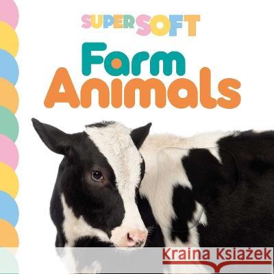 Super Soft Farm Animals: Photographic Touch & Feel Board Book Igloobooks                               Dgph Studio 9781801087933 Igloo Books