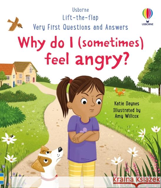 Very First Questions and Answers: Why do I (sometimes) feel angry? Katie Daynes 9781801313155 Usborne Publishing Ltd