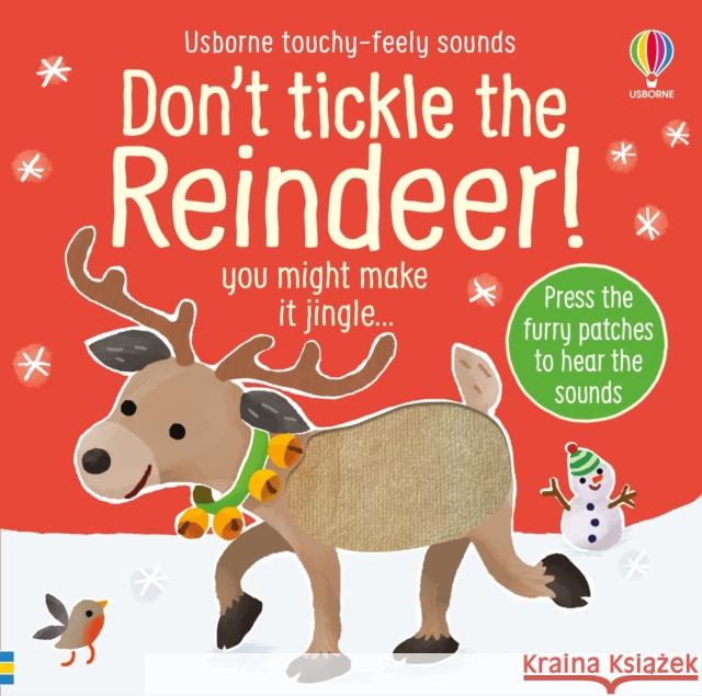 Don't Tickle the Reindeer! Sam Taplin 9781801314213 Usborne Publishing Ltd