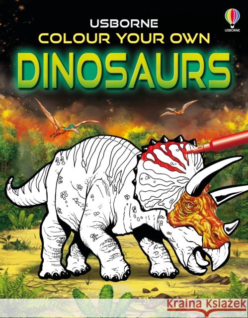 Colour Your Own Dinosaurs SIMON TUDHOPE 9781801315845