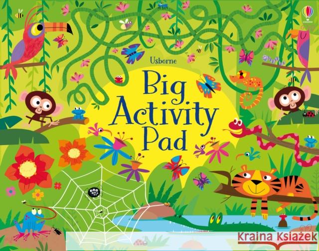 Big Activity Pad KIRSTEEN ROBSON 9781801316590 Usborne Publishing Ltd