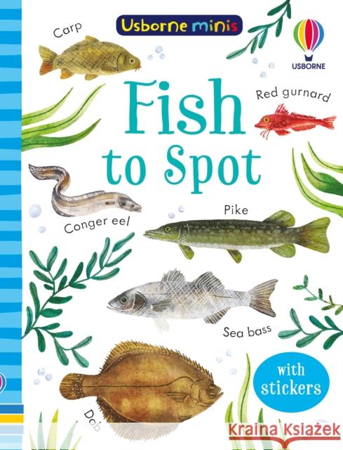 Fish to Spot KATE NOLAN 9781801317993 Usborne Publishing Ltd