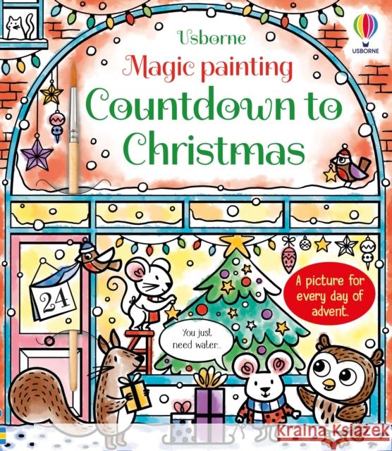 Magic Painting Countdown to Christmas Abigail Wheatley 9781801319096