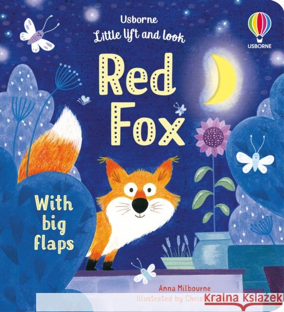 Little Lift and Look Red Fox Anna Milbourne 9781801319836 Usborne Publishing Ltd