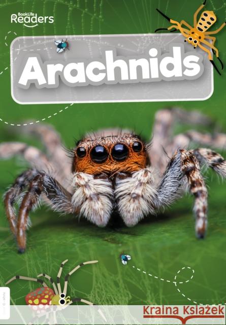 Arachnids Joanna Brundle 9781801551137 BookLife Publishing