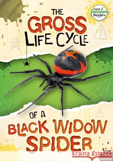 The Gross Life Cycle of a Black Widow Spider William Anthony 9781801551250 BookLife Publishing