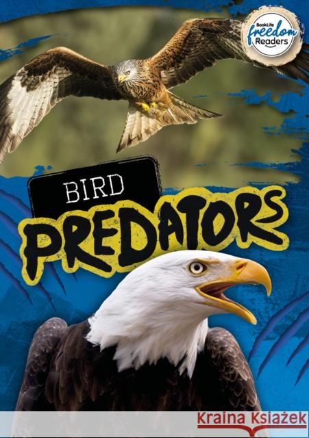 Bird Predators Mignonne Gunasekara 9781801551397 BookLife Publishing