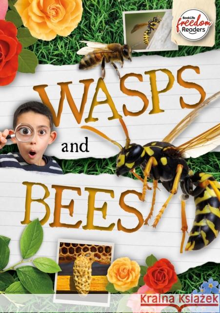 Wasps and Bees William Anthony 9781801551427