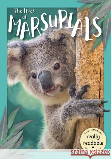 The Lives of Marsupials Madeline Tyler 9781801551571 BookLife Publishing