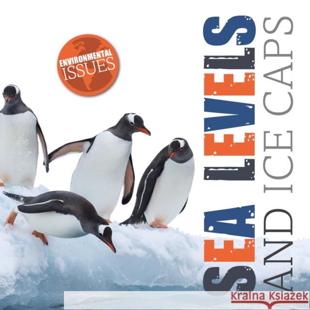 Sea Levels and Ice Caps Emilie Dufresne Amy Li  9781801555647 BookLife Publishing