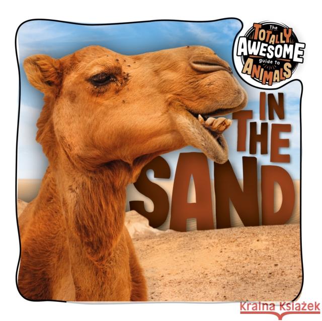 In the Sand Brenda McHale 9781801556507