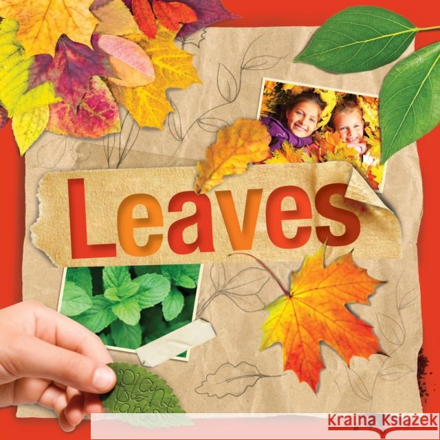 Leaves Steffi Cavell-Clarke 9781801559294