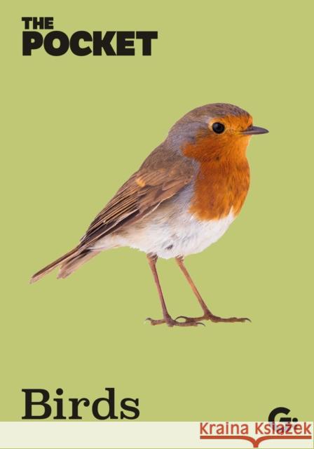 The Pocket Birds Gemini 9781802473018 Gemini Adult