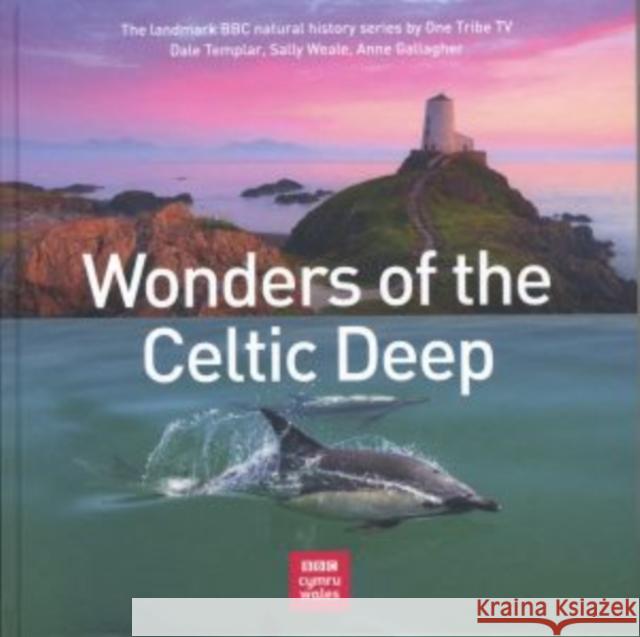 Wonders of the Celtic Deep Anne Gallagher 9781802580075 Graffeg Limited