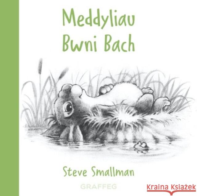 Meddyliau Bwni Bach Steve Smallman 9781802580099 Graffeg Limited