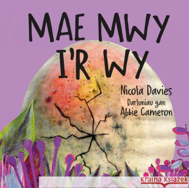 Mae Mwy I’r Wy Nicola Davies 9781802582079 Graffeg Limited