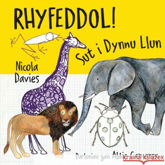 Rhyfeddol! Sut i Dynnu Llun Nicola Davies 9781802582086 Graffeg Limited