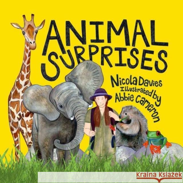 Animal Surprises Nicola Davies 9781802584028 Graffeg Limited