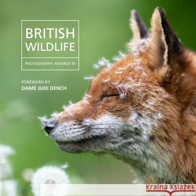 British Wildlife Photography Awards 2023 Will Nicholls 9781802584172 Graffeg Limited