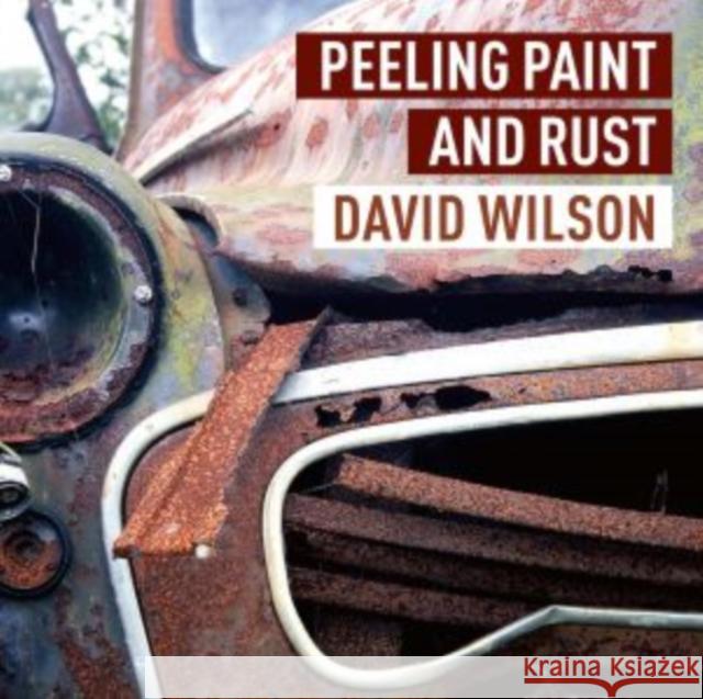 Peeling Paint and Rust David Wilson 9781802585681 Graffeg Limited