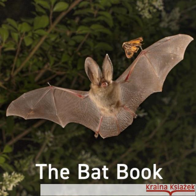The Bat Book Hugh Warwick 9781802587470