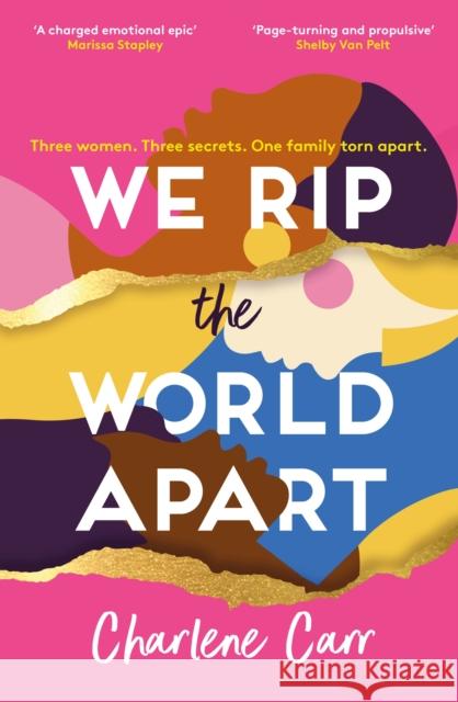 We Rip the World Apart: A sweeping story about motherhood, race and secrets Charlene Carr 9781802795462