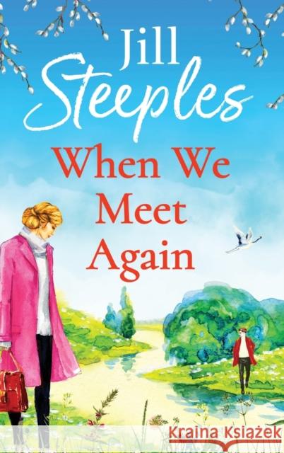 When We Meet Again Steeples, Jill 9781802807417 Boldwood Books Ltd