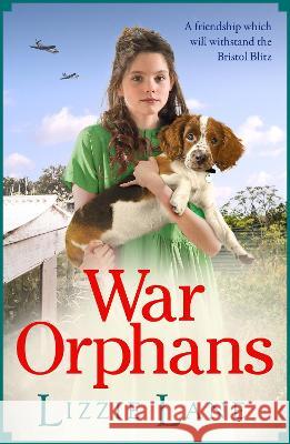 War Orphans Lane, Lizzie 9781802807905