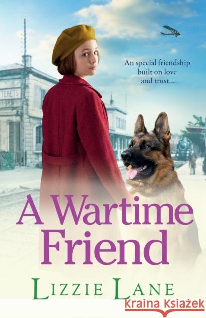 A Wartime Friend Lizzie Lane 9781802808025 Boldwood Books Ltd