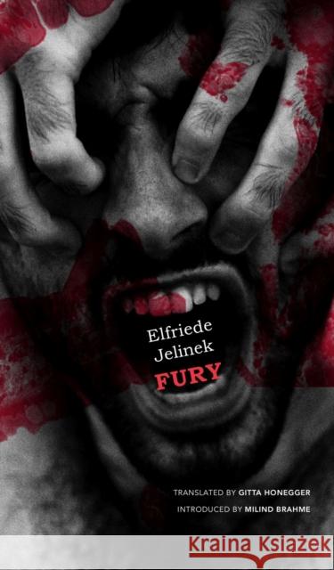 Fury Elfriede Jelinek Gitta Honegger Milind Brahme 9781803090320