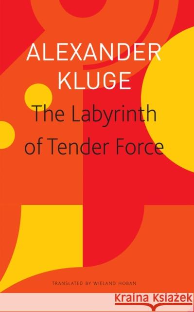 The Labyrinth of Tender Force: 166 Love Stories Kluge, Alexander 9781803091792 Seagull Books London Ltd