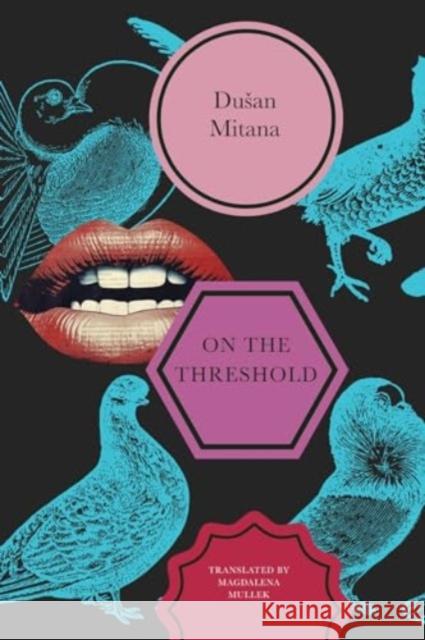 On the Threshold: Short Stories Dusan Mitana Magdalena Mullek 9781803094120 Seagull Books