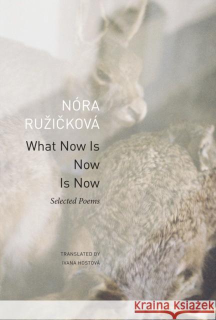 What Now Is Now Is Now: Selected Poems Nora Ruzickova 9781803095653 Seagull Books