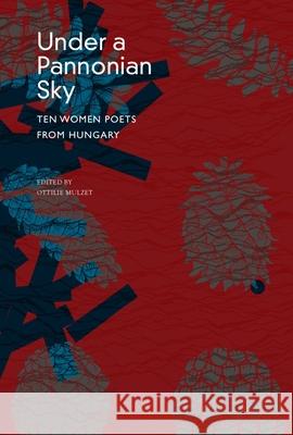 Under a Pannonian Sky: Ten Women Poets from Hungary Ottilie Mulzet 9781803095677 Seagull Books
