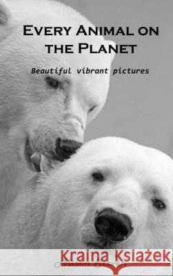 Every Animal on the Planet: Beautiful vibrant pictures Alison Steven 9781803100555 Alison Steven