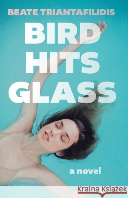 Bird Hits Glass Beate Triantafilidis 9781803131627