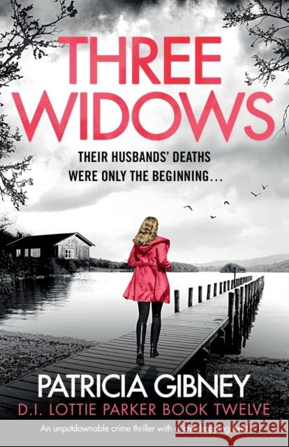 Three Widows: An unputdownable crime thriller with a jaw-dropping twist Patricia Gibney 9781803147390