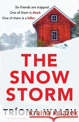 The Snowstorm: An absolutely gripping, pulse-pounding thriller packed with twists Tr?ona Walsh 9781803148502 Bookouture