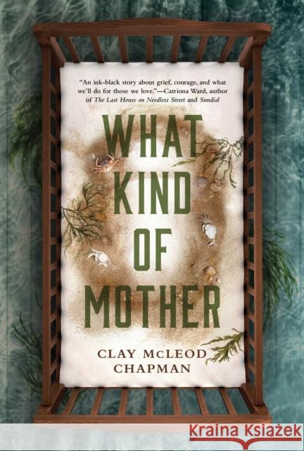 What Kind of Mother Clay McLeod Chapman 9781803368269 Titan Books Ltd