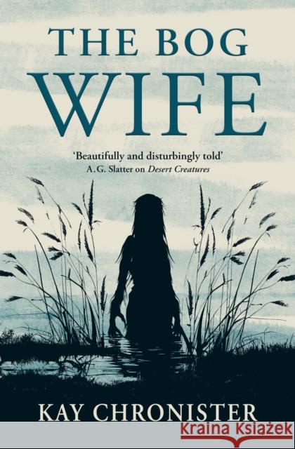 The Bog Wife Kay Chronister 9781803369655