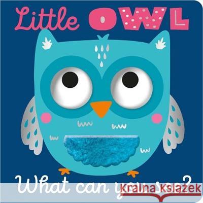 Little Owl What Can You See? Cara Jenkins Jess Moorhouse  9781803377490