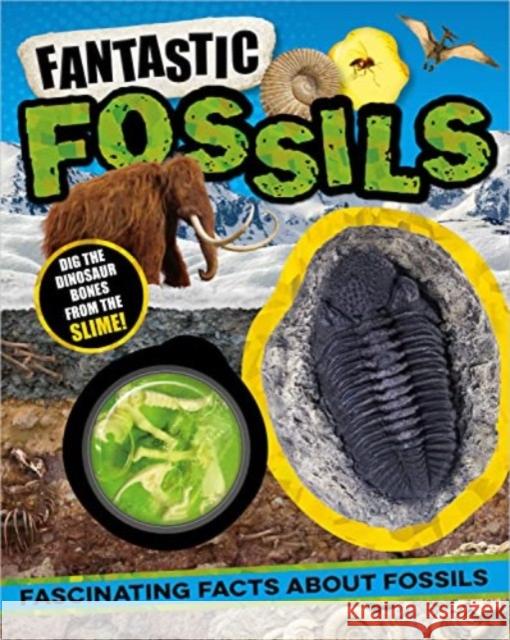 Non-Fiction Books Fantastic Fossils Laura Baker 9781803378398 Make Believe Ideas