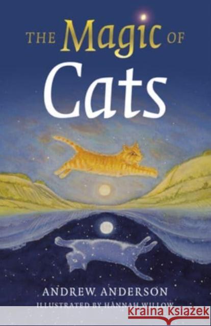 Magic of Cats, The Andrew Anderson 9781803410661