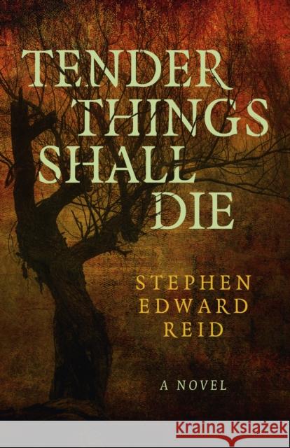 Tender Things Shall Die: A Novel Stephen Edward Reid 9781803412696