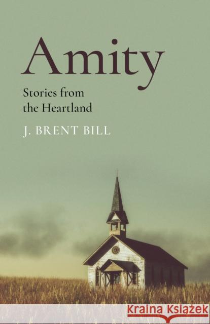 Amity: Stories from the Heartland J. Brent Bill 9781803413662