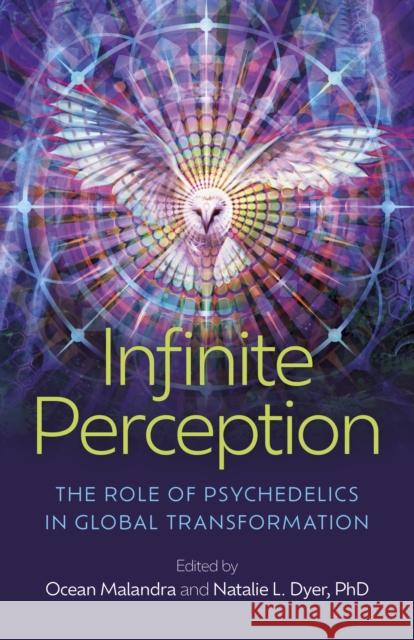 Infinite Perception: The Role of Psychedelics in Global Transformation Natalie L Dyer 9781803414607 